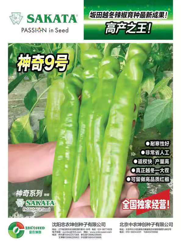 坤創九號
